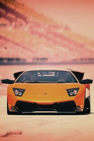 Lamborghini Murcielago обои