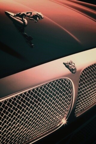 Капот и эмблема Ягуара обои