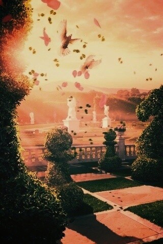 Шахматный сад обои