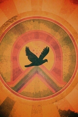 Голубь мира обои