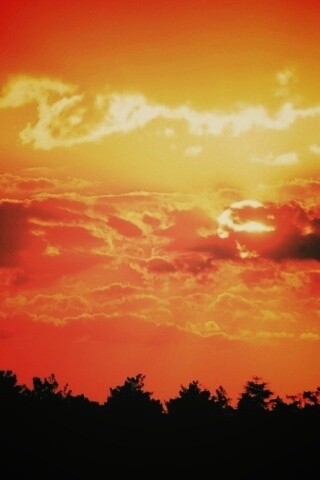 Ярко-оранжевое закатное небо обои