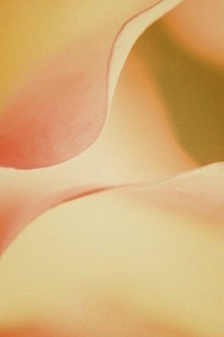 Оттенки природы обои