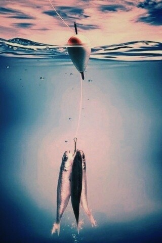 На крючке обои