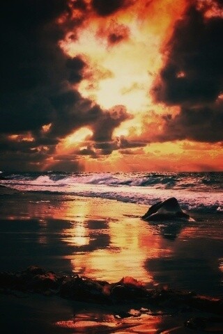 Океанский берег на закате обои