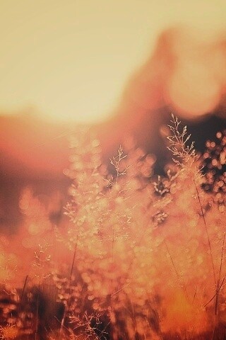 Посмотри на этот мир обои