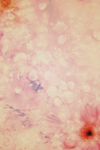 Цветочная эйфория обои