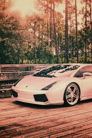 Ламбоджини на мосту в лесу обои