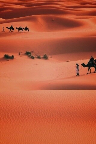 Караваны пустыни обои