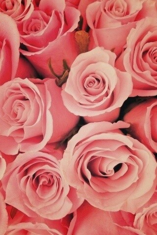 Букет роз обои