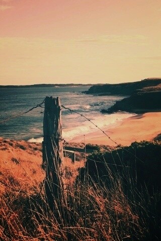 Пляж на озере обои