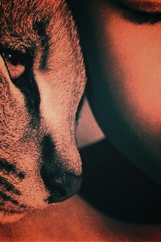 Человек и природа обои