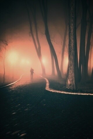 Пустынный лабиринт парковых дорожек обои