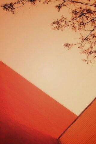 Закругленная стена обои