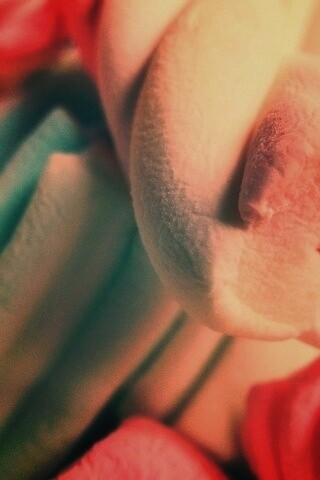 Кручёный зефир обои