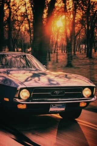 Мустанг обои