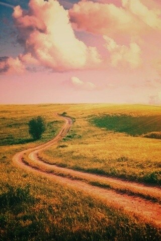 Дорога через луг обои