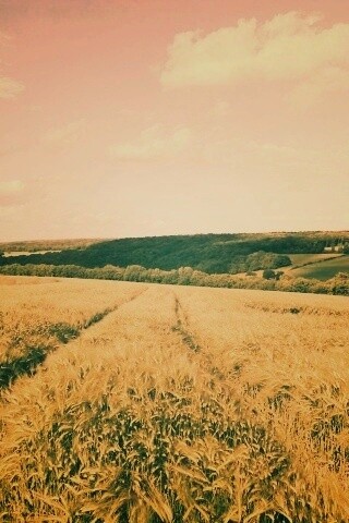 Бескрайние просторы обои