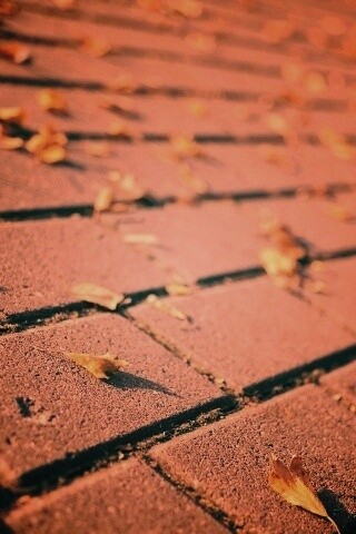 Тротуар обои