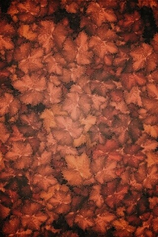 Осенние листья обои