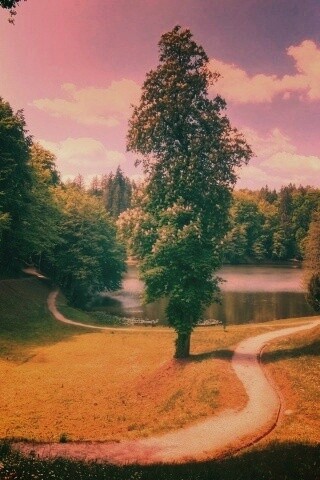 Прекрасная природа обои