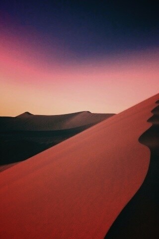 Люны в Намибии обои