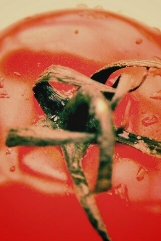 Свежая помидорка обои