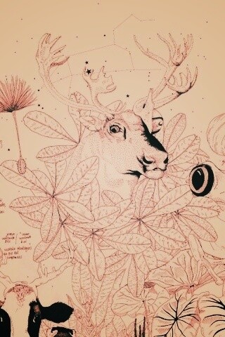 Животные на рабочий стол Apple обои