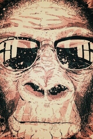 Макака в очках обои