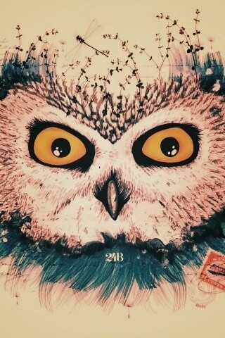 Обои сова для mac book обои