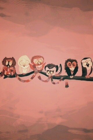 Совы на ветке обои