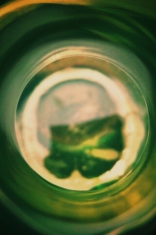 Зеленая бутылка обои