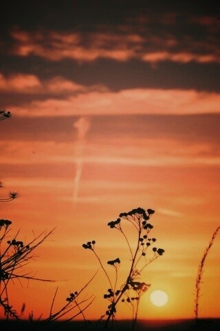 Степной закат обои