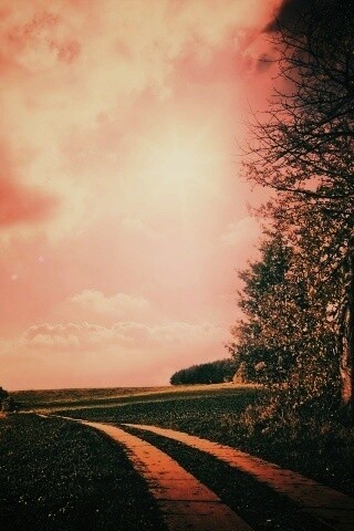 Солнечные холмы обои