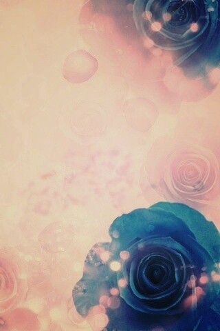 Синие розы обои