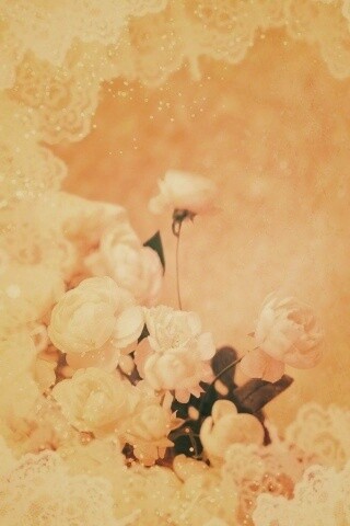 Бежевые кружева и розы обои