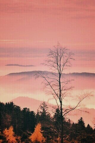 Холмы в тумане обои