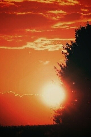 Теплый закат над полем обои