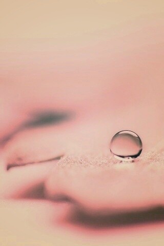 Капля на замёрзжем листе обои