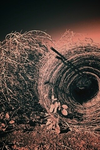 Клубок сена обои