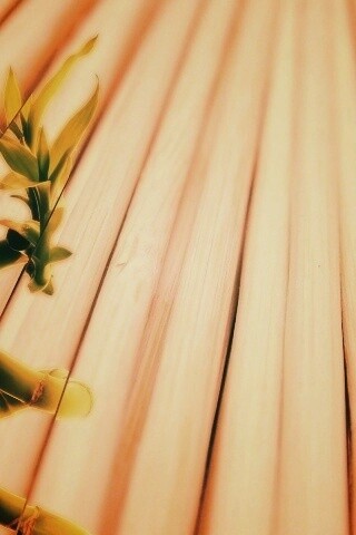 Белый росток обои