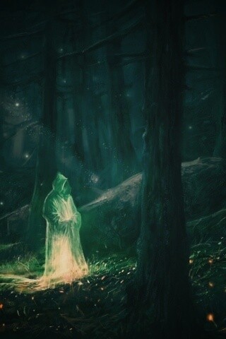 Маг света в лесу обои