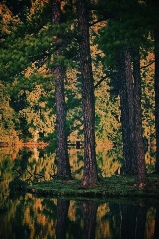 Островок посреди озера обои