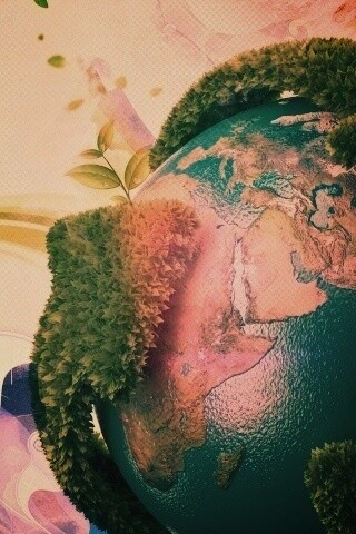 Что за чудесный мир обои