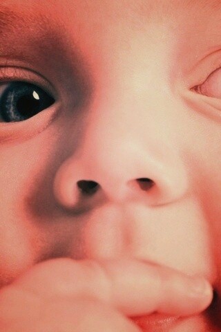 Что-то замышляет... обои