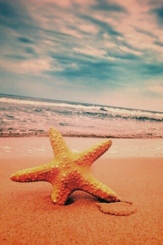 Морская звезда в песке обои