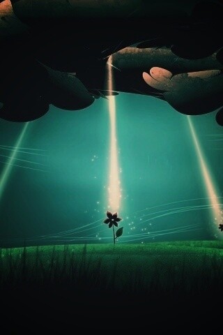 Свет для цветов обои