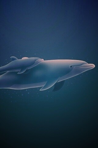 Дельфин и дельфиненок обои