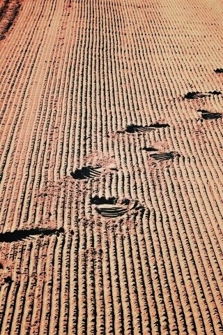 Следы на песке обои