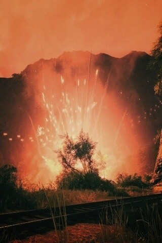 Взрыв в кустах обои