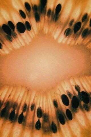 Макро фото киви в разрезе обои